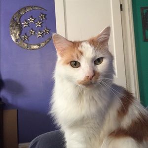 Meet your Posher, Olivia